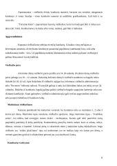 Lietuvos kelionių agentūros: "Novaturas" ir "Alfaturas" 8 puslapis