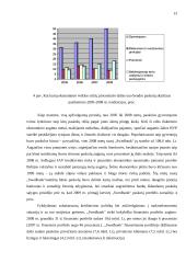 Lietuvos komerciniai bankai 13 puslapis