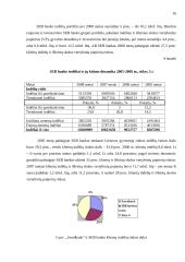 Lietuvos komerciniai bankai 16 puslapis