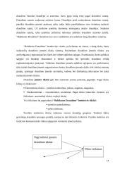 Praktikos ataskaita: UADB "Baltikums Draudimas" 12 puslapis