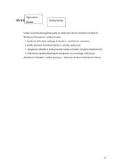 Praktikos ataskaita: UADB "Baltikums Draudimas" 13 puslapis