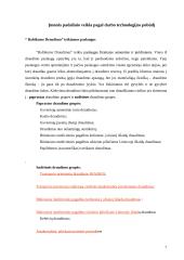 Praktikos ataskaita: UADB "Baltikums Draudimas" 5 puslapis