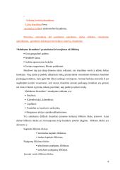 Praktikos ataskaita: UADB "Baltikums Draudimas" 6 puslapis