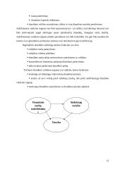 Praktikos ataskaita: UADB "Baltikums Draudimas" 10 puslapis