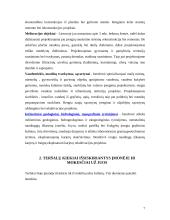 Praktikos ataskaita: žemės reformos, melioracijos, vandentiekio ir nuotėkų tvarkymo projektai UAB "Vilniaus Hidroprojektas" 7 puslapis