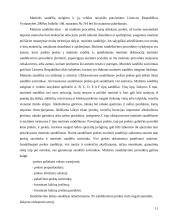 Lietuvos muitų politika 11 puslapis