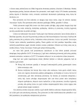 Lietuvos muitų politika 15 puslapis