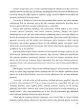 Lietuvos muitų politika 16 puslapis