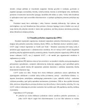 Lietuvos muitų politika 17 puslapis