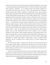 Lietuvos muitų politika 19 puslapis