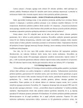 Lietuvos muitų politika 20 puslapis