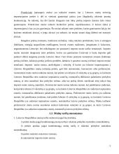 Lietuvos muitų politika 5 puslapis