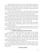 Lietuvos muitų politika 10 puslapis