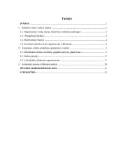 Praktinės veiklos ataskaita: Ilguvos pensionatas