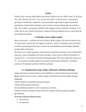 Praktinės veiklos ataskaita: Ilguvos pensionatas 2 puslapis