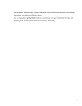 Praktinės veiklos ataskaita: Ilguvos pensionatas 12 puslapis