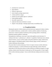 Praktinės veiklos ataskaita: Ilguvos pensionatas 3 puslapis