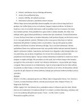 Praktinės veiklos ataskaita: Ilguvos pensionatas 6 puslapis