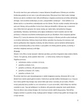 Praktinės veiklos ataskaita: Ilguvos pensionatas 8 puslapis