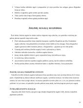 Želdynų projektavimo, įrengimo ir priežiūros mokamosios praktikos ataskaita 14 puslapis