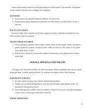 Želdynų projektavimo, įrengimo ir priežiūros mokamosios praktikos ataskaita 19 puslapis