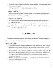 Želdynų projektavimo, įrengimo ir priežiūros mokamosios praktikos ataskaita 20 puslapis