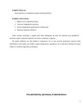 Želdynų projektavimo, įrengimo ir priežiūros mokamosios praktikos ataskaita 5 puslapis