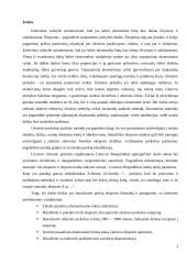 Prekių eksporto dinamikos ir pagrindinių problemų analizė Lietuvoje 3 puslapis