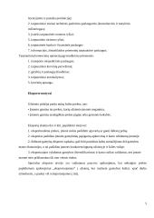 Prekių eksporto dinamikos ir pagrindinių problemų analizė Lietuvoje 5 puslapis