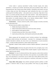 Prekių eksporto dinamikos ir pagrindinių problemų analizė Lietuvoje 7 puslapis