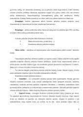 Prekių eksporto dinamikos ir pagrindinių problemų analizė Lietuvoje 8 puslapis