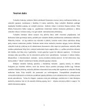 Lietuvos Respublikos (LR) ir užsienio šalių mokesčių sistemų palyginamoji analizė 4 puslapis