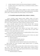 Lietuvos Respublikos (LR) saugumas ir užsienio politika 12 puslapis