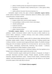 Lietuvos Respublikos (LR) saugumas ir užsienio politika 13 puslapis