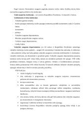 Lietuvos Respublikos (LR) saugumas ir užsienio politika 17 puslapis