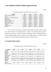 Lietuvos Respublikos valstybės biudžeto analizė 13 puslapis