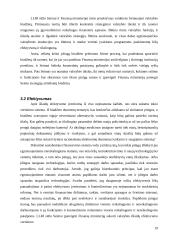 Lietuvos Respublikos valstybės biudžeto analizė 18 puslapis