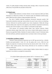 Lietuvos Respublikos valstybės biudžeto analizė 19 puslapis