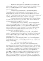 Lietuvos respublikos savivaldybių finansai. Mažeikių rajono savivaldybės 2005 metų biudžetas 7 puslapis