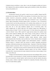 Lietuvos ūkio raida 1994-2004 metais 18 puslapis