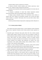 Lietuvos užsienio prekyba UAB "Artas" 19 puslapis