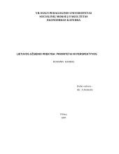 Lietuvos užsienio prekyba: prioritetai ir perspektyvos