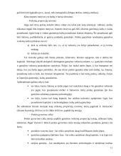 Lietuvos užsienio prekyba: prioritetai ir perspektyvos 11 puslapis