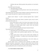 Lietuvos užsienio prekyba: prioritetai ir perspektyvos 12 puslapis