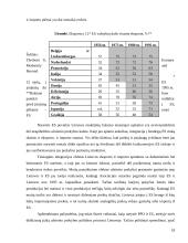 Lietuvos užsienio prekyba: prioritetai ir perspektyvos 18 puslapis