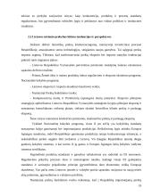 Lietuvos užsienio prekyba: prioritetai ir perspektyvos 19 puslapis