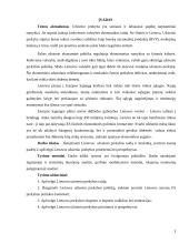 Lietuvos užsienio prekyba: prioritetai ir perspektyvos 3 puslapis