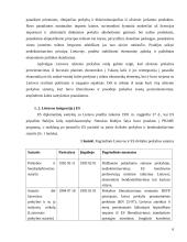 Lietuvos užsienio prekyba: prioritetai ir perspektyvos 6 puslapis