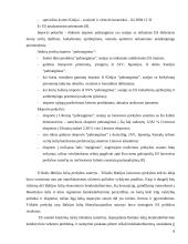 Lietuvos užsienio prekyba: prioritetai ir perspektyvos 8 puslapis