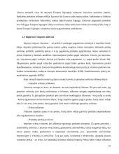 Lietuvos užsienio prekyba: prioritetai ir perspektyvos 10 puslapis